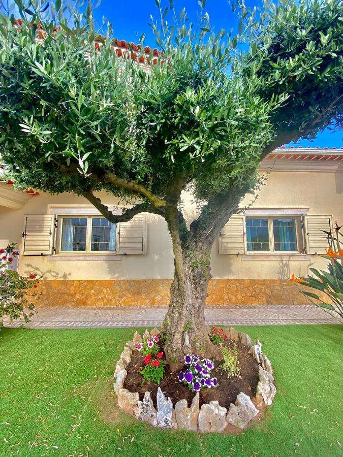 Casa Das Laranjeiras Alqueidão da Serra Kültér fotó